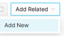AddRelatedAndAddNew.png