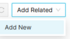 AddRelatedAndAddNew.png