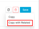 CopyWithRelateds3.png